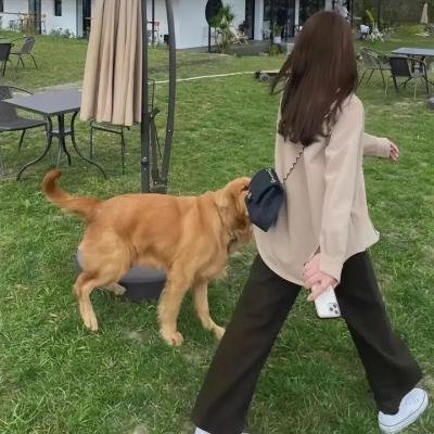致命谜情海报