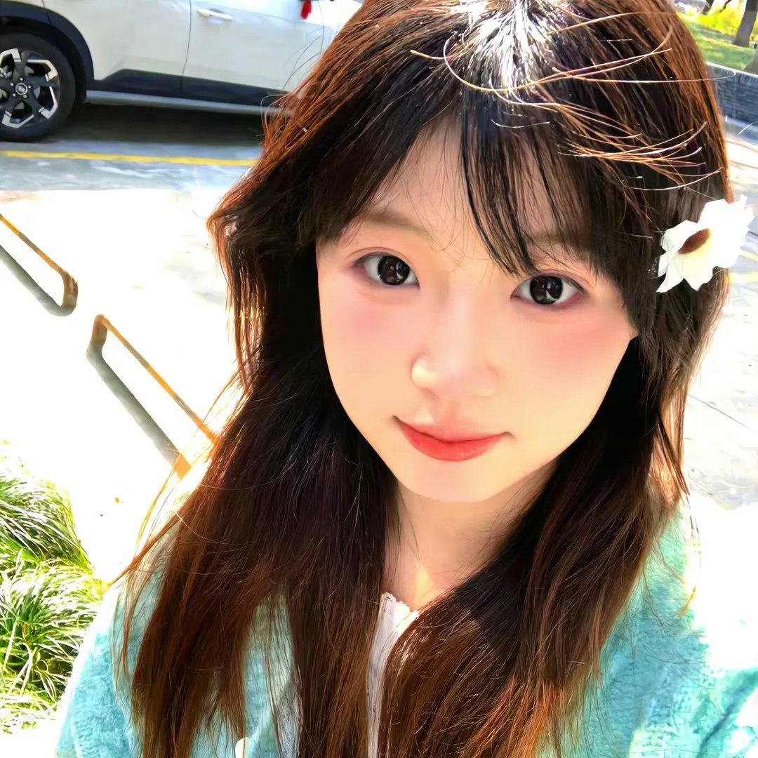 少女十五十六时海报